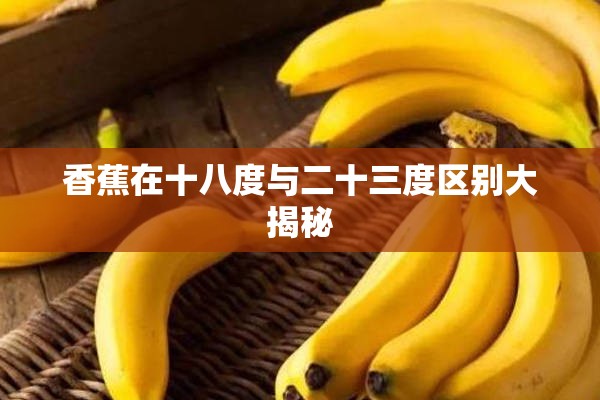 香蕉在十八度与二十三度区别大揭秘