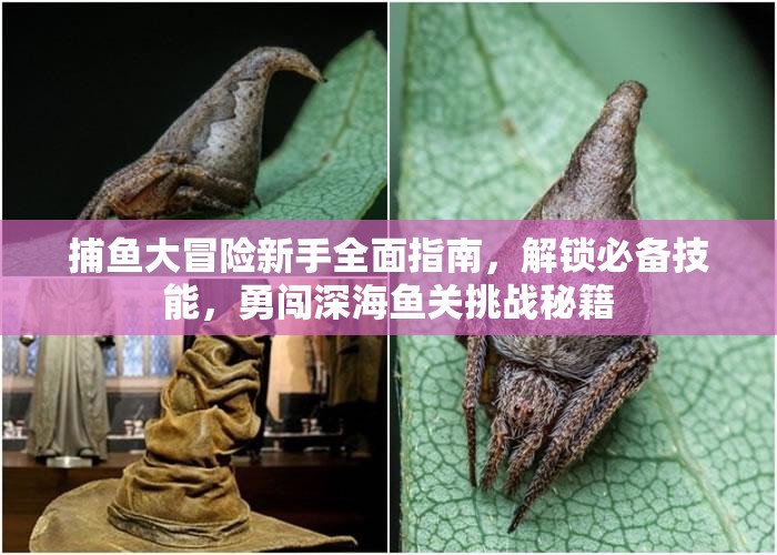 捕鱼大冒险新手全面指南，解锁必备技能，勇闯深海鱼关挑战秘籍