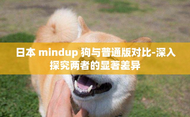 日本 mindup 狗与普通版对比-深入探究两者的显著差异