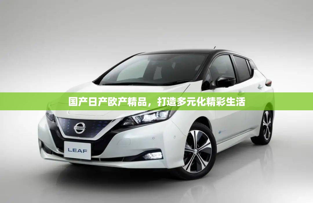 国产日产欧产精品，打造多元化精彩生活