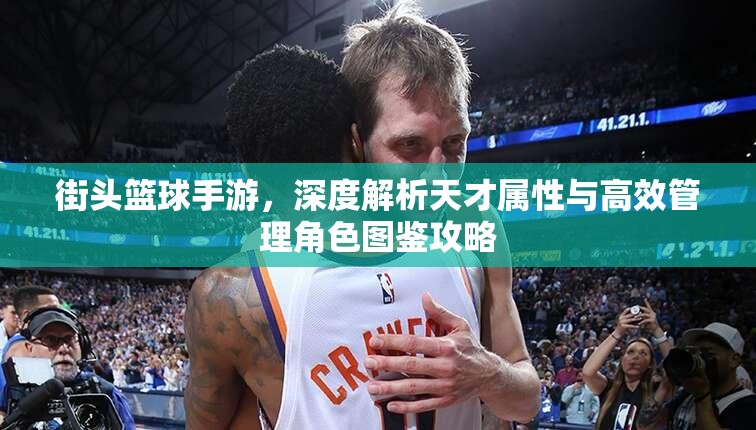 街头篮球手游，深度解析天才属性与高效管理角色图鉴攻略