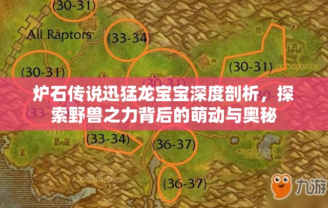 炉石传说迅猛龙宝宝深度剖析，探索野兽之力背后的萌动与奥秘