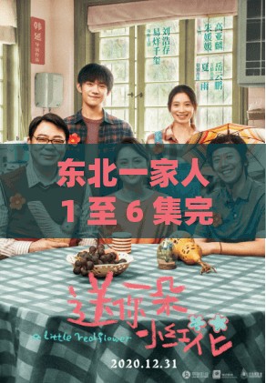东北一家人 1 至 6 集完整版阅读：欢乐东北人家的故事