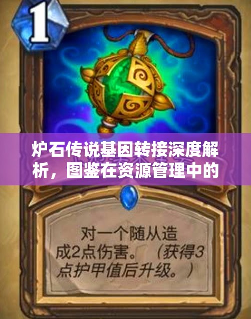 炉石传说基因转接深度解析，图鉴在资源管理中的核心作用与高效策略应用