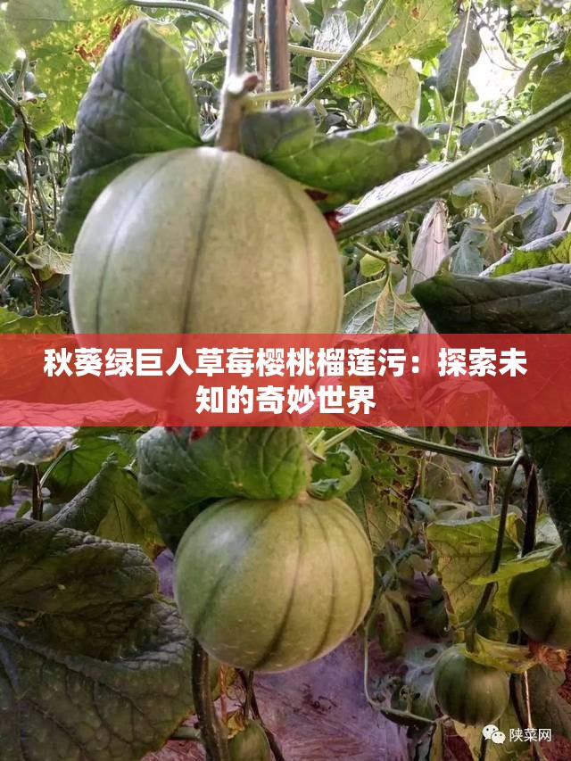 秋葵绿巨人草莓樱桃榴莲污：探索未知的奇妙世界