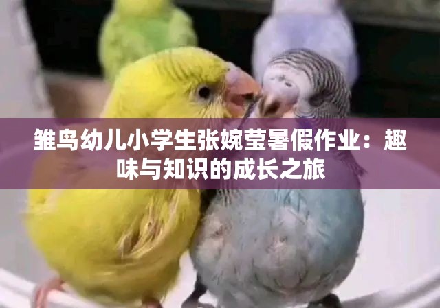 雏鸟幼儿小学生张婉莹暑假作业：趣味与知识的成长之旅