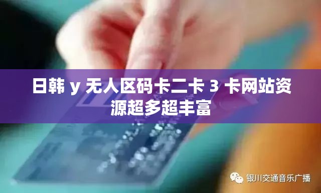 日韩 y 无人区码卡二卡 3 卡网站资源超多超丰富