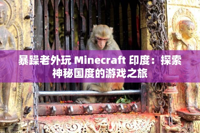 暴躁老外玩 Minecraft 印度：探索神秘国度的游戏之旅