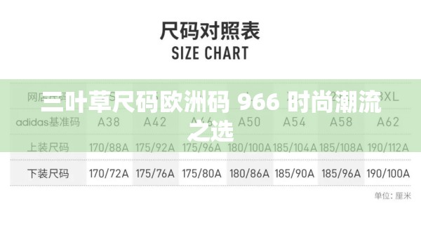 三叶草尺码欧洲码 966 时尚潮流之选