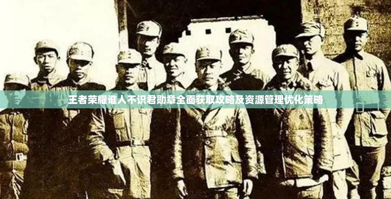 王者荣耀谁人不识君勋章全面获取攻略及资源管理优化策略