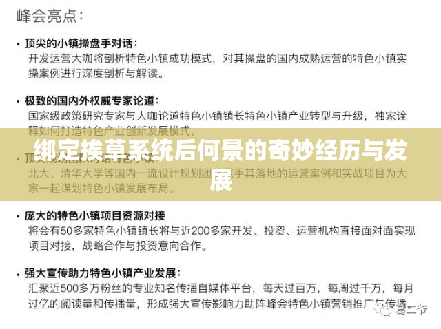 绑定挨草系统后何景的奇妙经历与发展
