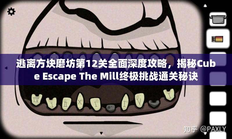 逃离方块磨坊第12关全面深度攻略，揭秘Cube Escape The Mill终极挑战通关秘诀
