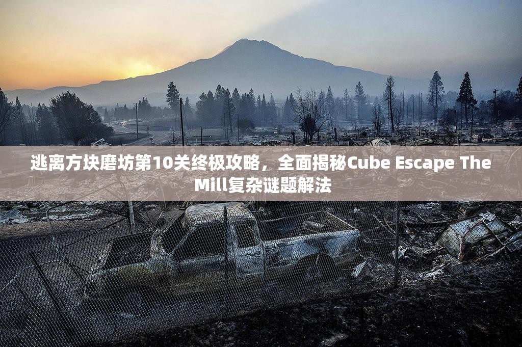 逃离方块磨坊第10关终极攻略，全面揭秘Cube Escape The Mill复杂谜题解法