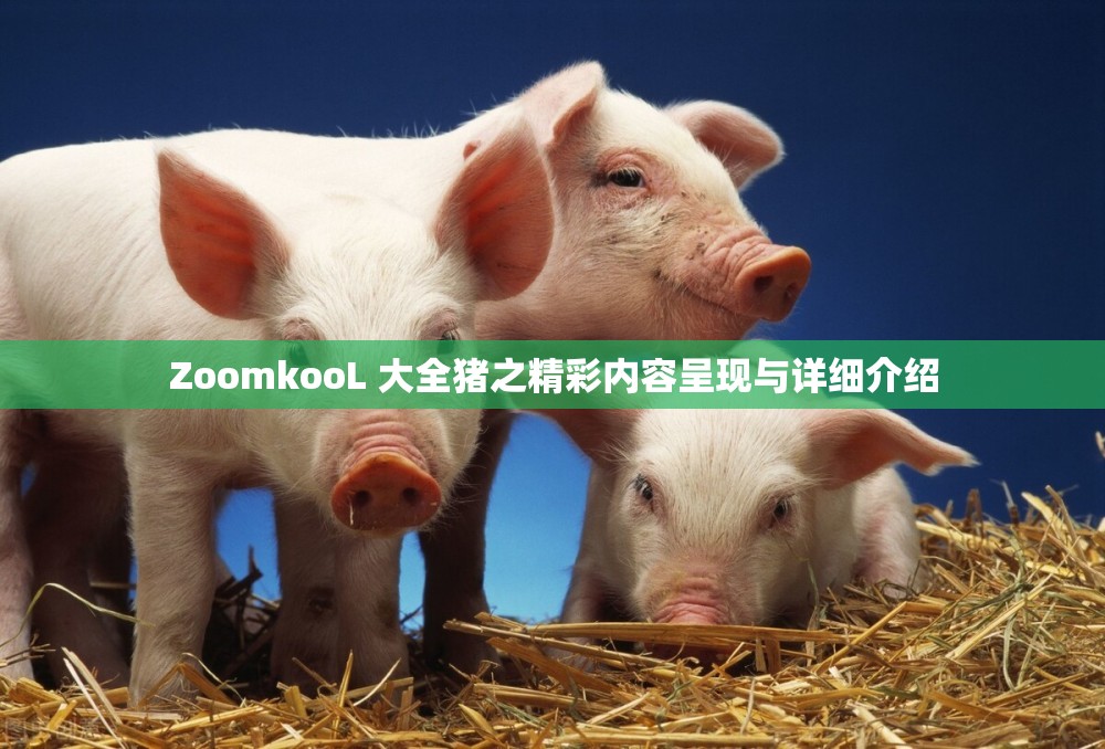 ZoomkooL 大全猪之精彩内容呈现与详细介绍