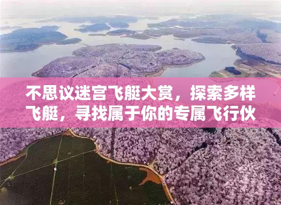 不思议迷宫飞艇大赏，探索多样飞艇，寻找属于你的专属飞行伙伴