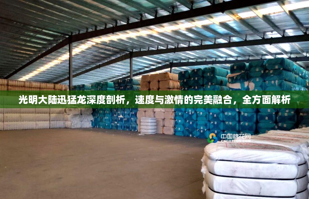 光明大陆迅猛龙深度剖析，速度与激情的完美融合，全方面解析