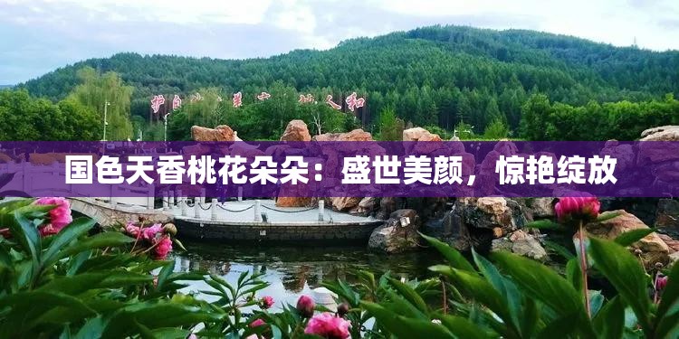 国色天香桃花朵朵：盛世美颜，惊艳绽放