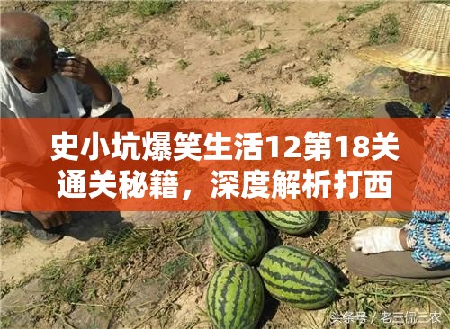 史小坑爆笑生活12第18关通关秘籍，深度解析打西瓜策略与技巧