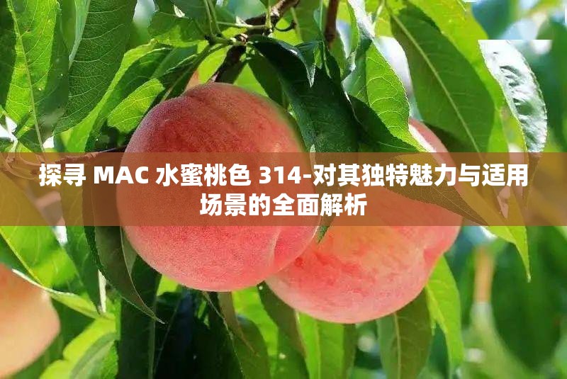探寻 MAC 水蜜桃色 314-对其独特魅力与适用场景的全面解析