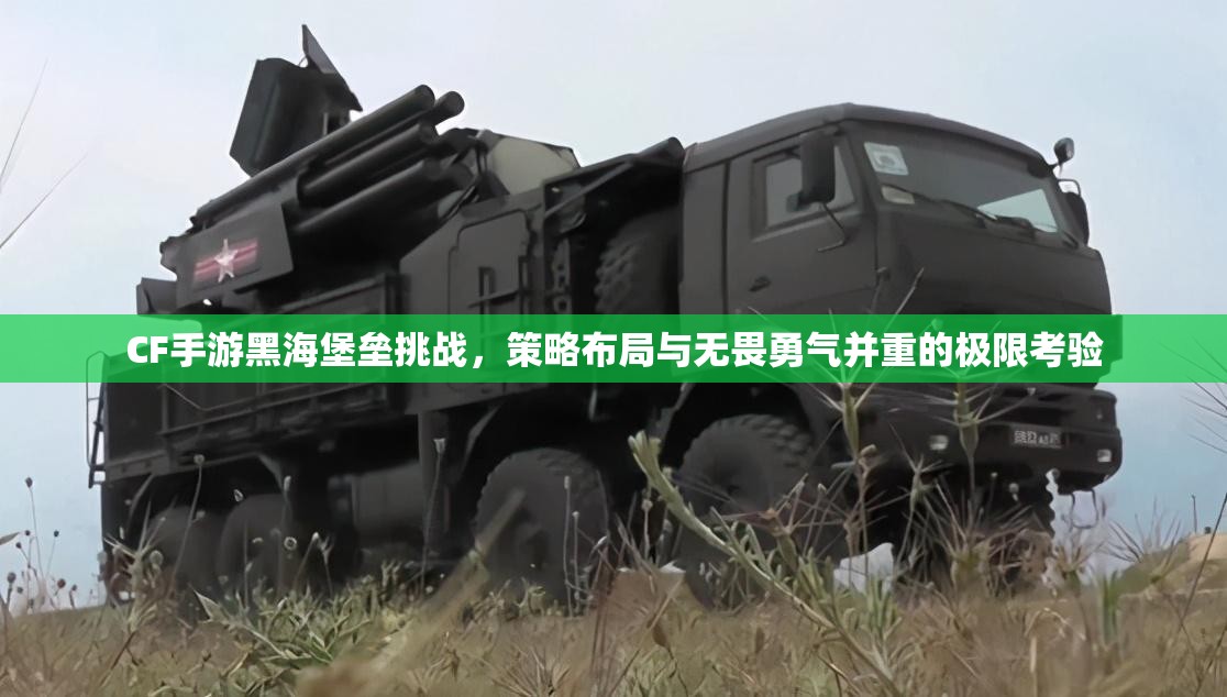 CF手游黑海堡垒挑战，策略布局与无畏勇气并重的极限考验