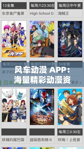 风车动漫 APP：海量精彩动漫资源等你来探索