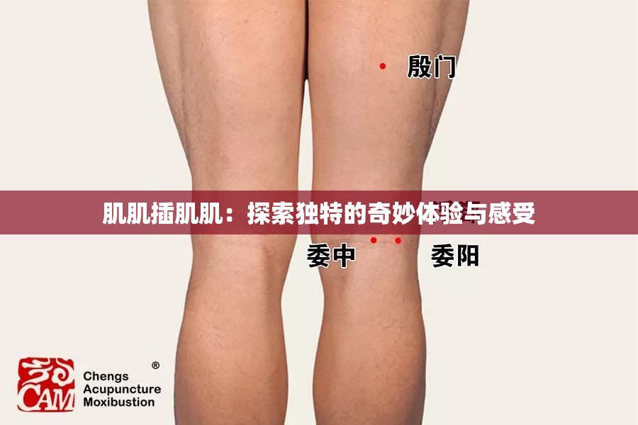 肌肌插肌肌：探索独特的奇妙体验与感受