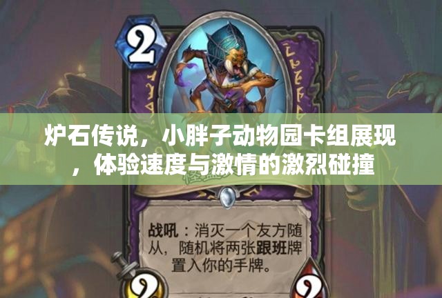 炉石传说，小胖子动物园卡组展现，体验速度与激情的激烈碰撞