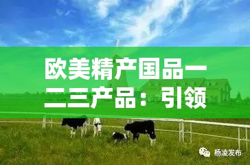 欧美精产国品一二三产品：引领高品质生活潮流