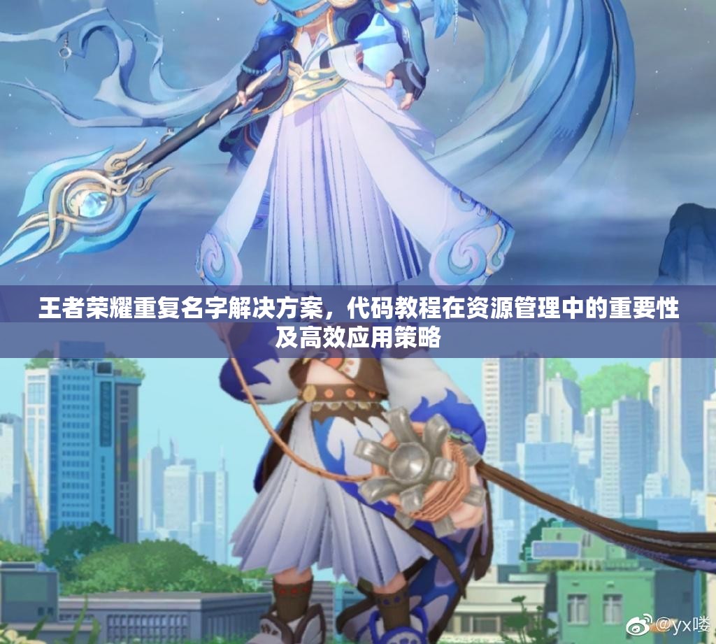 王者荣耀重复名字解决方案，代码教程在资源管理中的重要性及高效应用策略