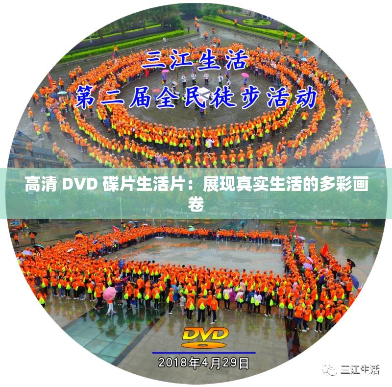 高清 DVD 碟片生活片：展现真实生活的多彩画卷
