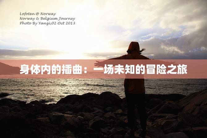 身体内的插曲：一场未知的冒险之旅