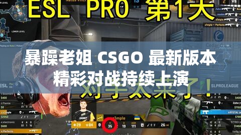 暴躁老姐 CSGO 最新版本精彩对战持续上演