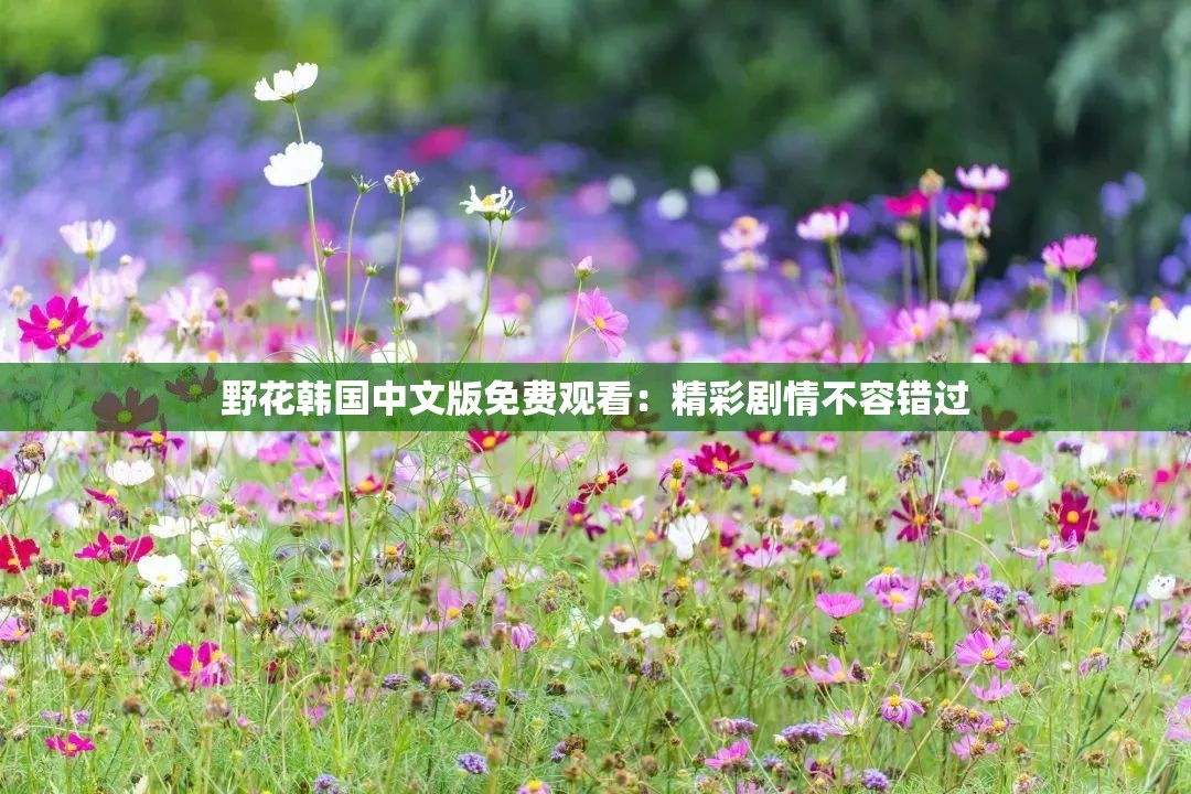 野花韩国中文版免费观看：精彩剧情不容错过