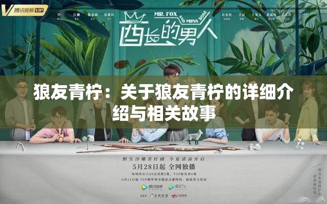 狼友青柠：关于狼友青柠的详细介绍与相关故事