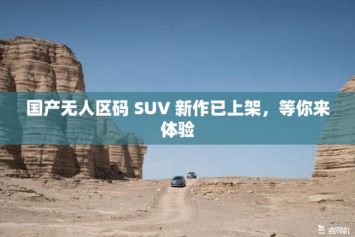 国产无人区码 SUV 新作已上架，等你来体验