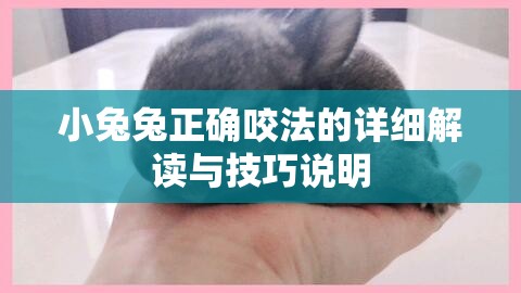 小兔兔正确咬法的详细解读与技巧说明