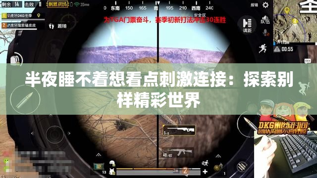 半夜睡不着想看点刺激连接：探索别样精彩世界