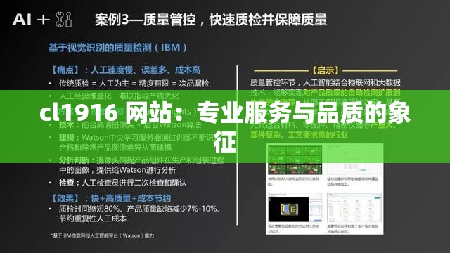 cl1916 网站：专业服务与品质的象征
