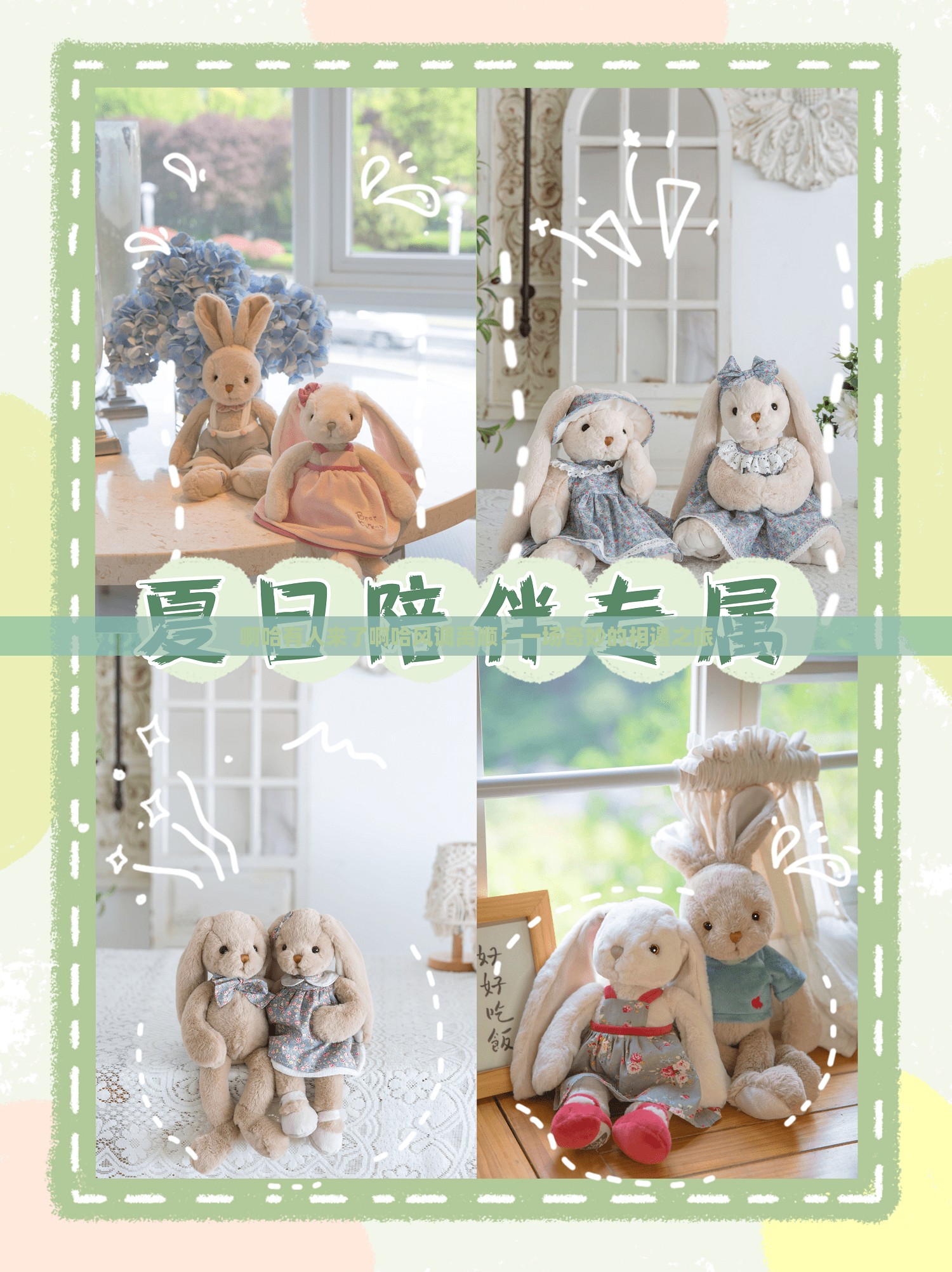 啊哈有人来了啊哈风调禹顺：一场奇妙的相遇之旅