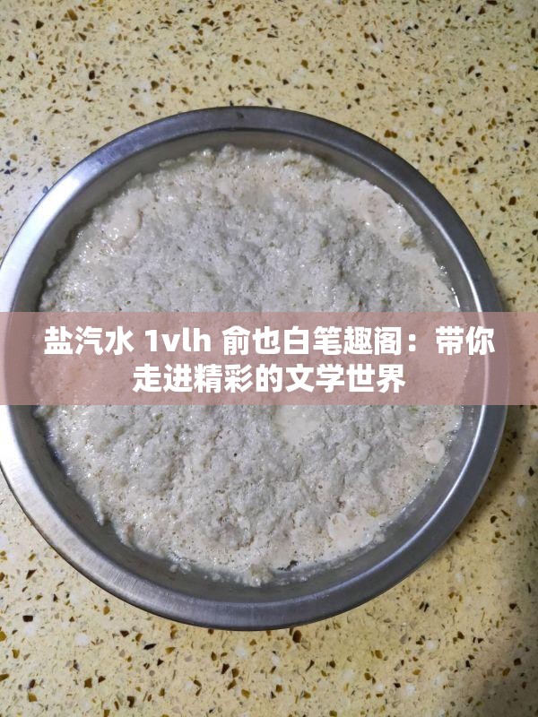 盐汽水 1vlh 俞也白笔趣阁：带你走进精彩的文学世界