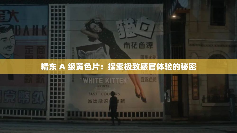 精东 A 级黄色片：探索极致感官体验的秘密