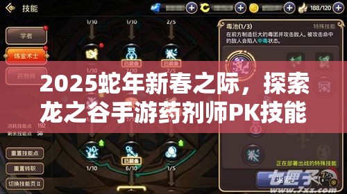 2025蛇年新春之际，探索龙之谷手游药剂师PK技能搭配的艺术