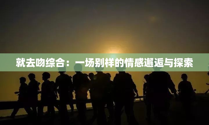 就去吻综合：一场别样的情感邂逅与探索