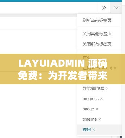 LAYUIADMIN 源码免费：为开发者带来无限可能