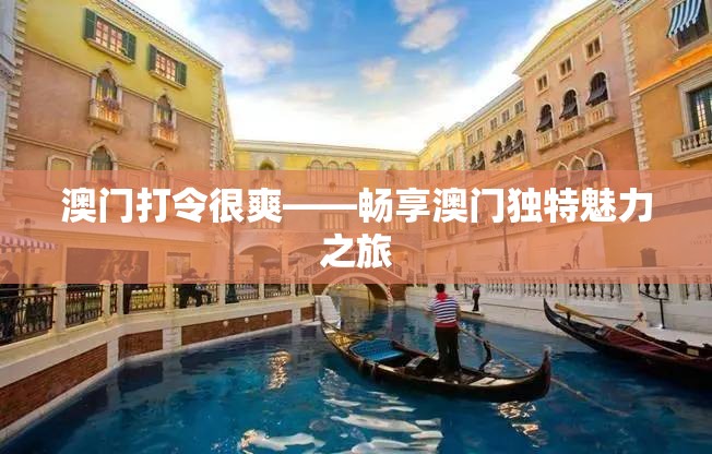 澳门打令很爽——畅享澳门独特魅力之旅