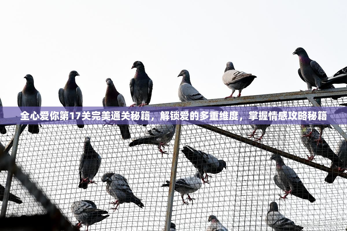 全心爱你第17关完美通关秘籍，解锁爱的多重维度，掌握情感攻略秘籍