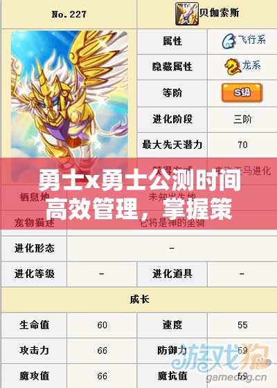 勇士x勇士公测时间高效管理，掌握策略、技巧以实现游戏价值最大化