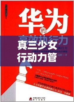 真三少女行动力管理，高效策略与优化技巧助你提升执行力