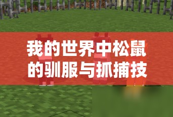 我的世界中松鼠的驯服与抓捕技巧，资源管理、高效技巧与实用策略指南