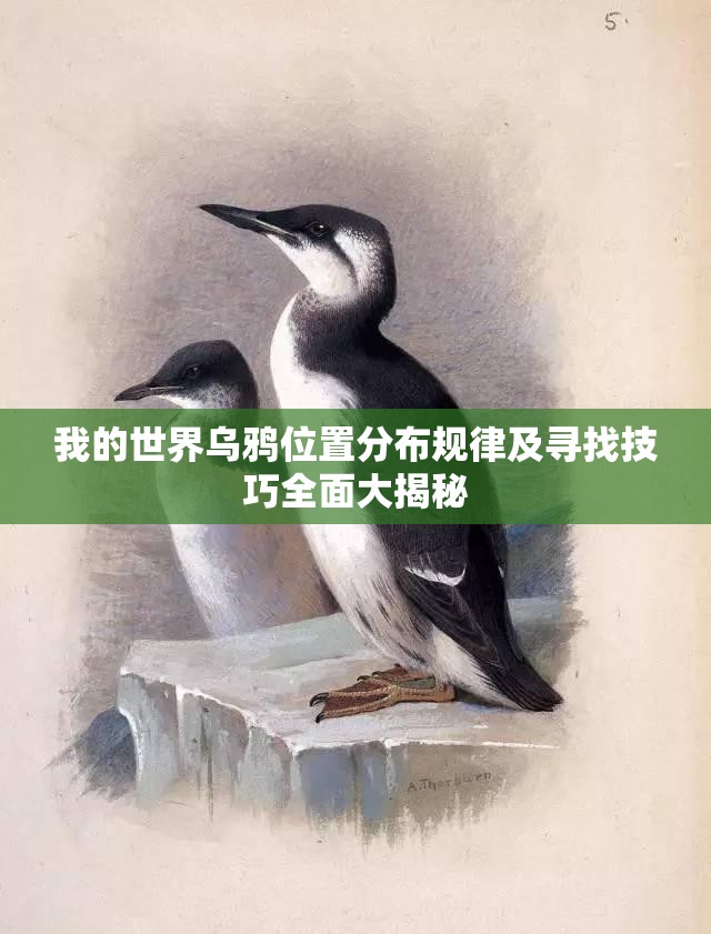 我的世界乌鸦位置分布规律及寻找技巧全面大揭秘